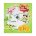 Food processor Discs