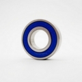 Robot Coupe 507901s Bearing SS 6002 2RS Stainless Steel